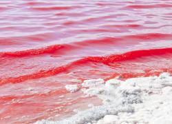 Red water