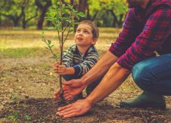 Boy planting a tree