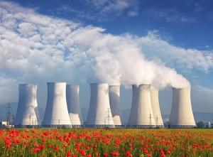 Image for WNA report paints bright future for nuclear